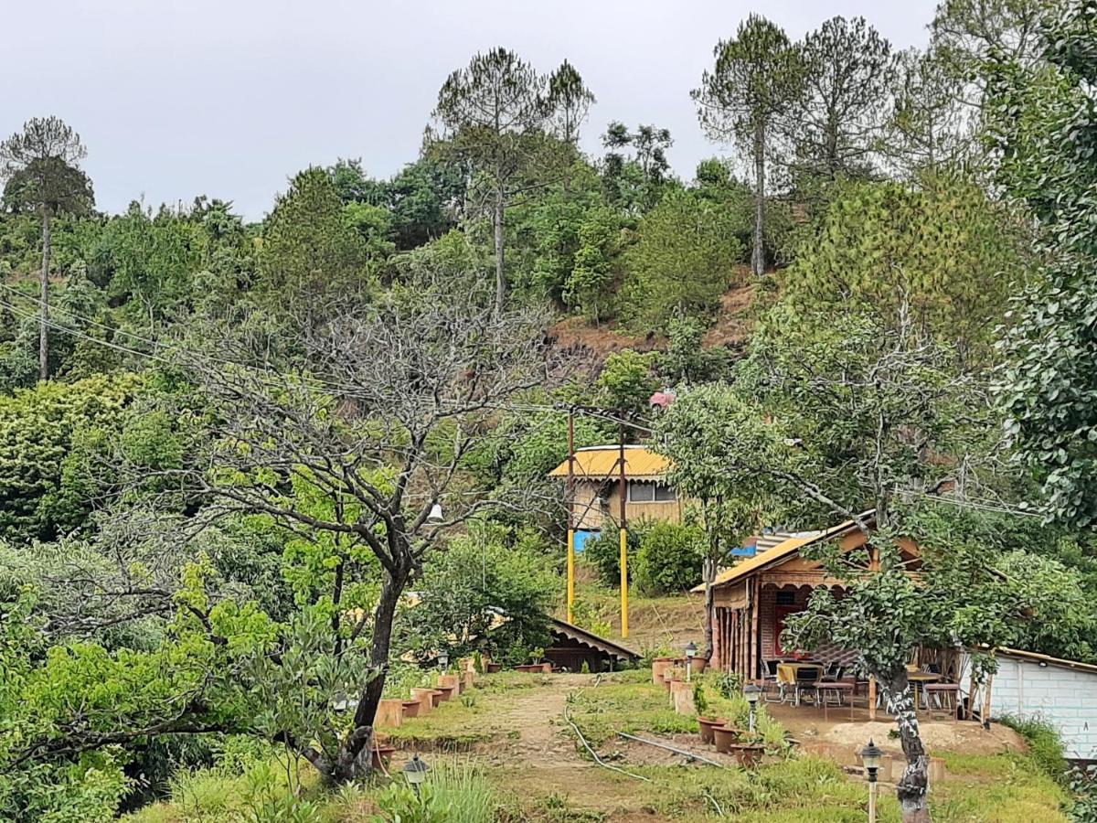 Mukteshwar Grand Retreat Eksteriør bilde